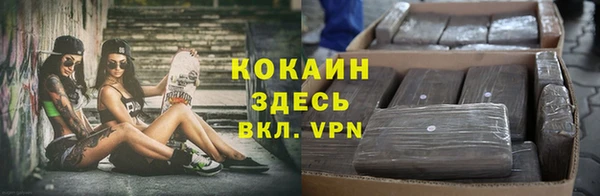 соль ск Алексеевка