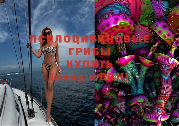 спиды Алзамай
