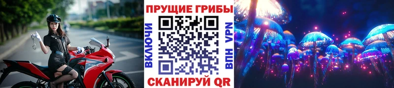 Псилоцибиновые грибы Psilocybine cubensis  мориарти как зайти  Белгород 