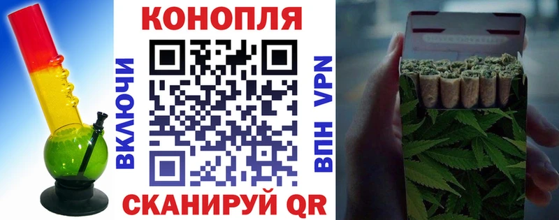 Канабис планчик где найти Белгород
